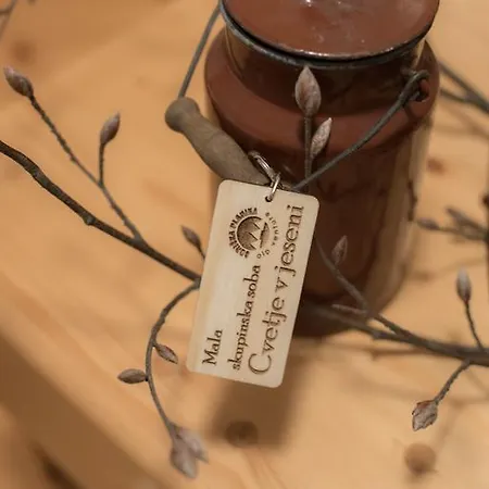 Brunarica 3* Бохинь