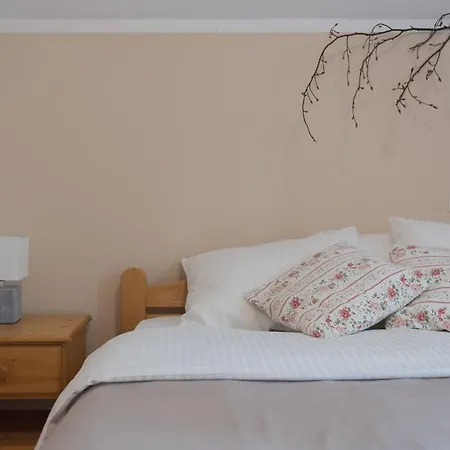 Brunarica Guest house Bohinj