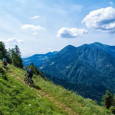 Brunarica 3* Бохинь