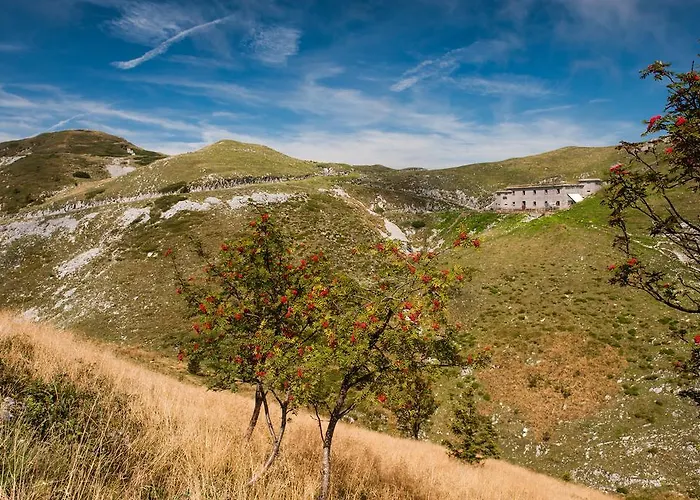 Hiša za goste Brunarica 3*