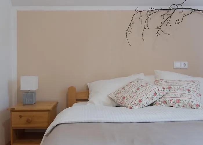 Brunarica Гостевой дом Бохинь